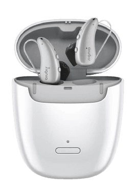 Hearing aid 1