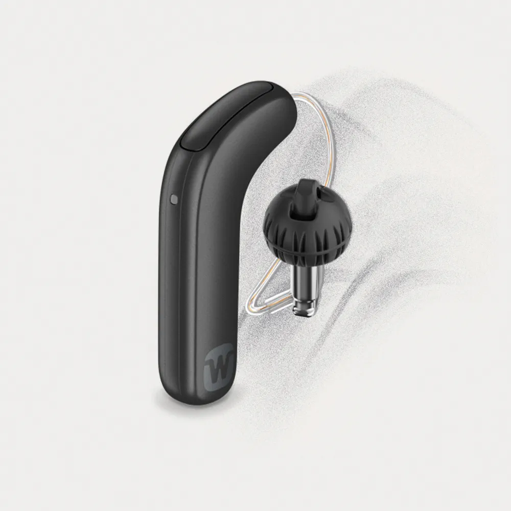 Widex SmartRIC